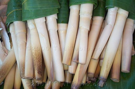 bamboo shoots