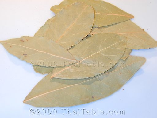 bay leaf