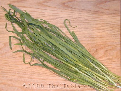 Chinese chives - green