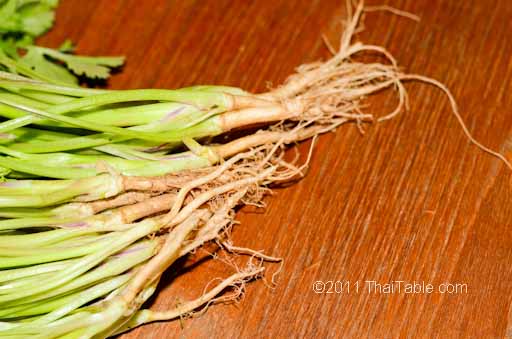 cilantro root