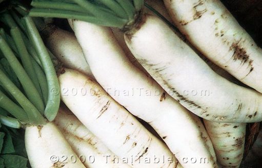 daikon