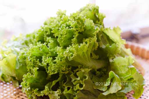 green lettuce