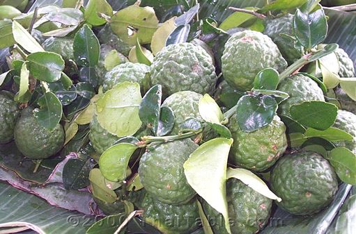 kaffir lime