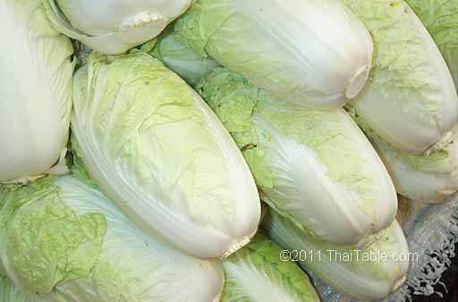 napa cabbage