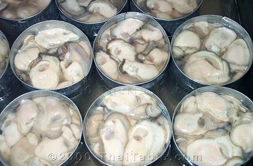 oyster