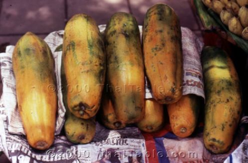 papaya