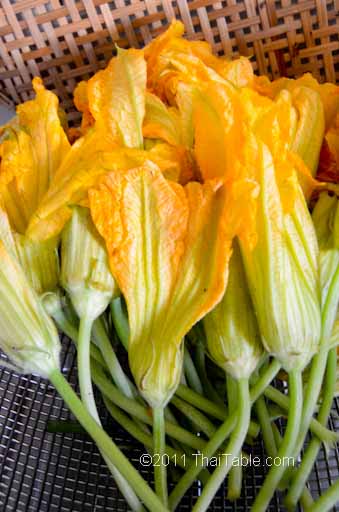 squash blossom